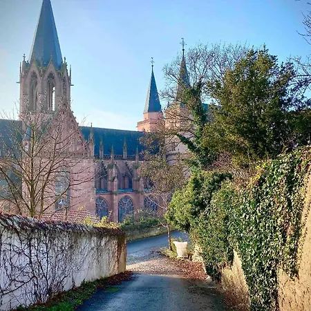 Schoenster Blick Auf Oppenheim! Exterior photo